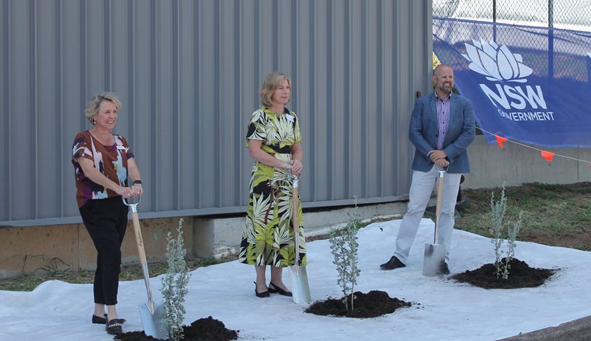 Tree_planting2-(1).jpg
